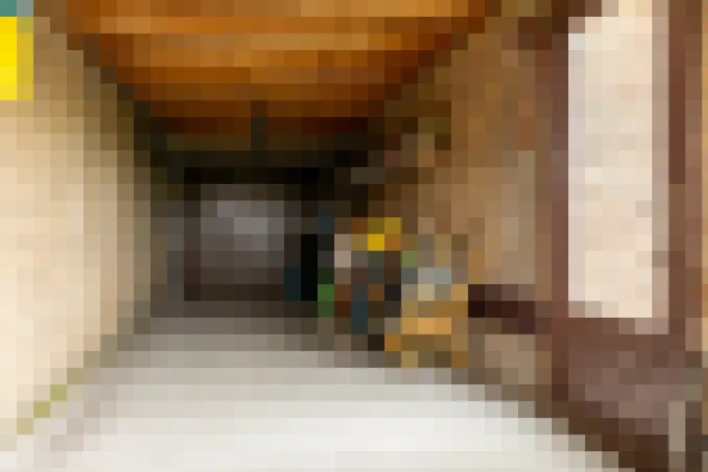 Newtonstraat 4 Schoonhoven thumbnail 35