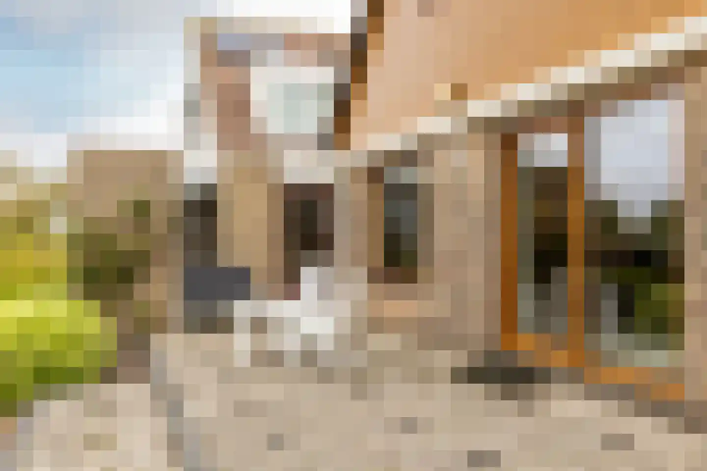 Newtonstraat 4 Schoonhoven thumbnail 37