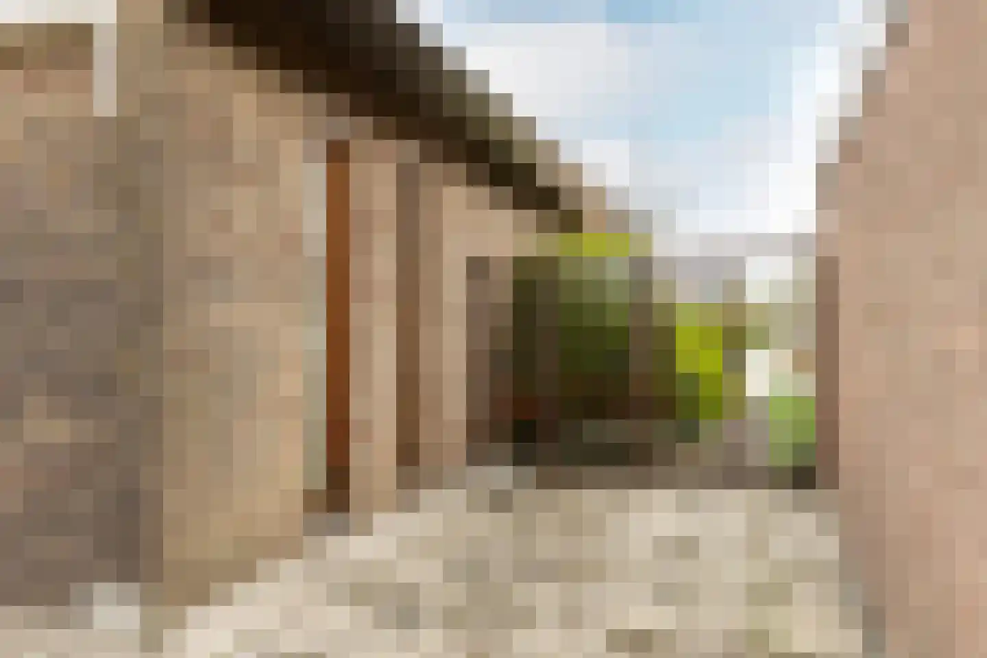 Newtonstraat 4 Schoonhoven thumbnail 46
