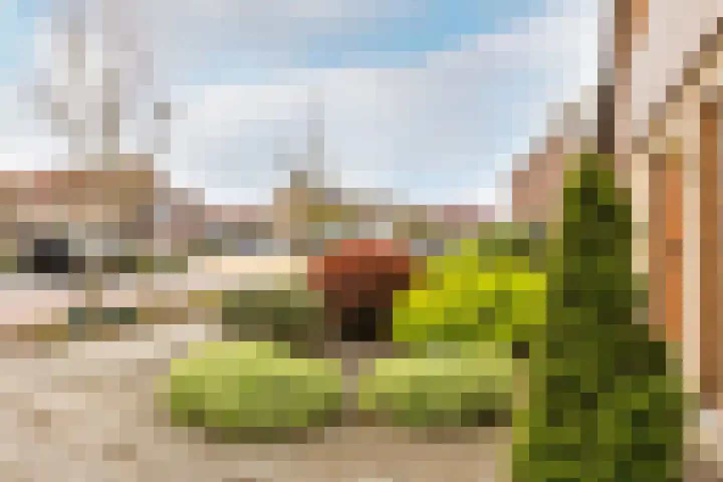 Newtonstraat 4 Schoonhoven thumbnail 47
