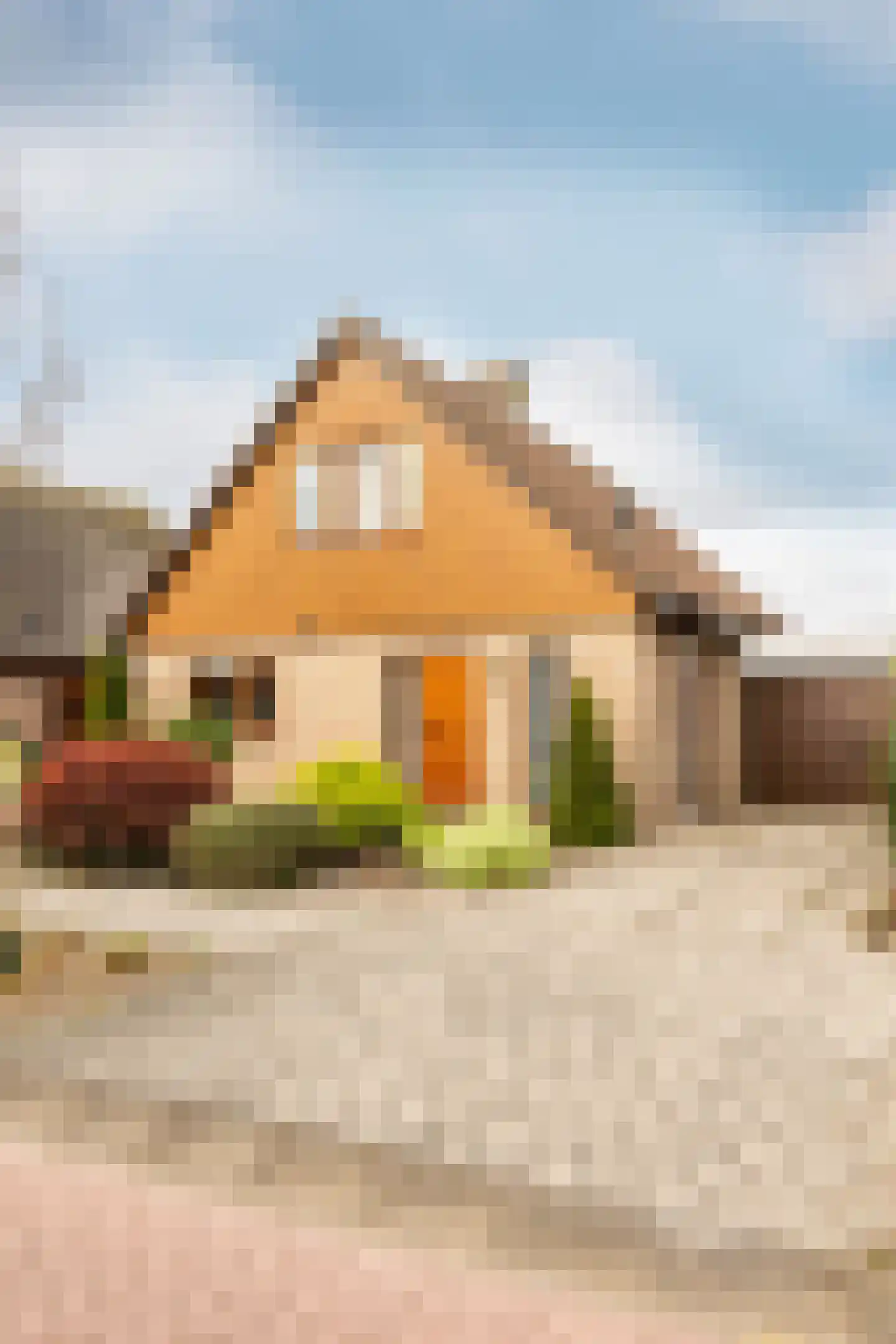 Newtonstraat 4 Schoonhoven thumbnail 48