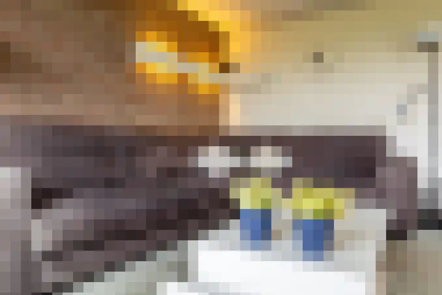 Newtonstraat 4 Schoonhoven thumbnail 6