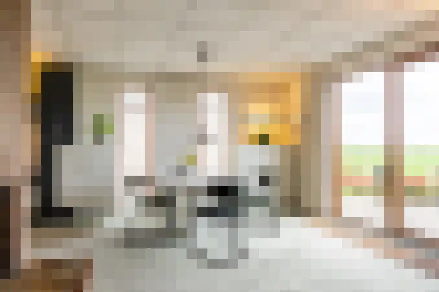 Newtonstraat 4 Schoonhoven thumbnail 9