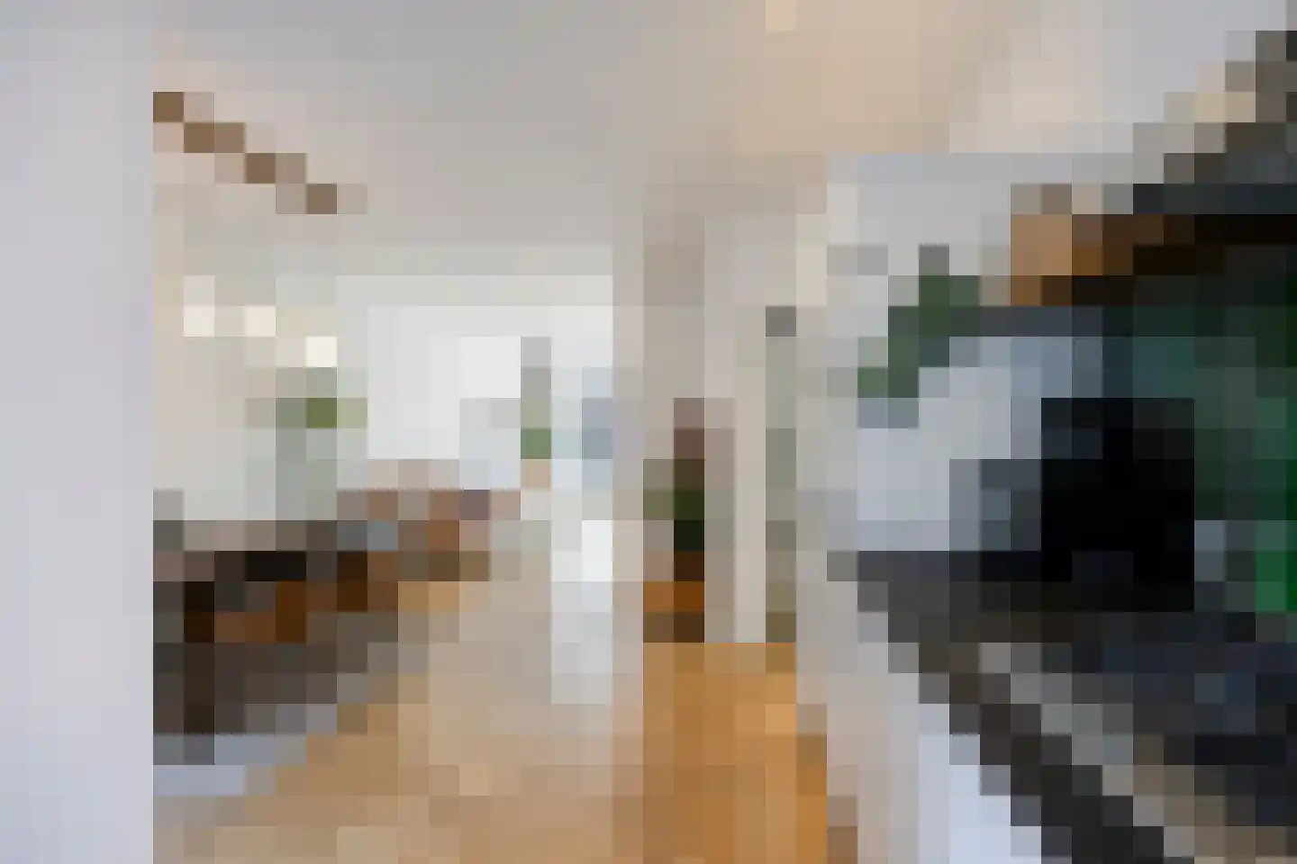Newtonstraat 42 A Schiedam thumbnail 22