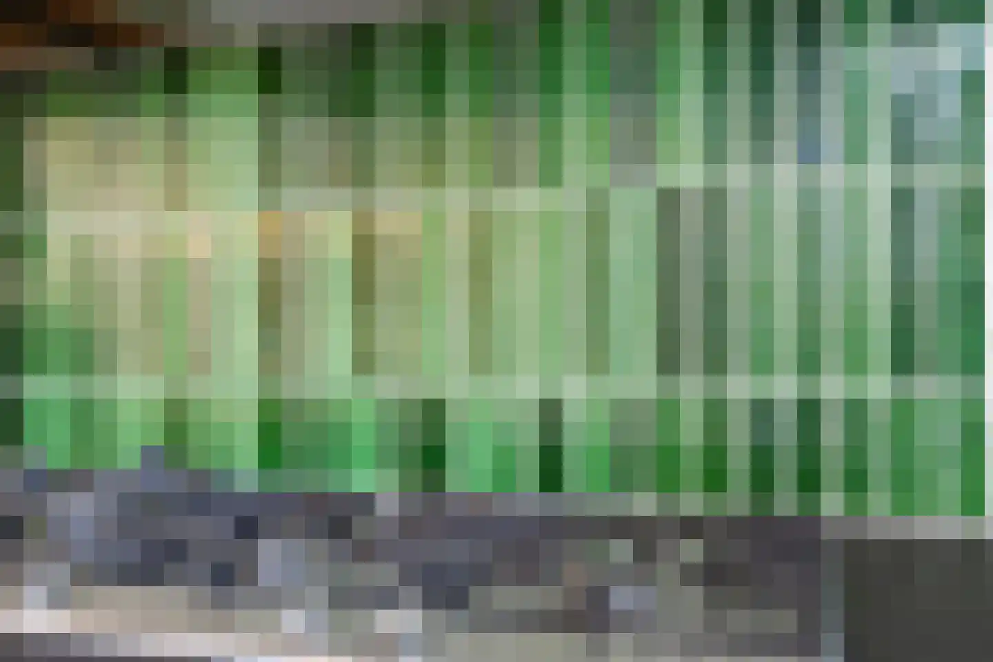 Newtonstraat 42 A Schiedam thumbnail 24