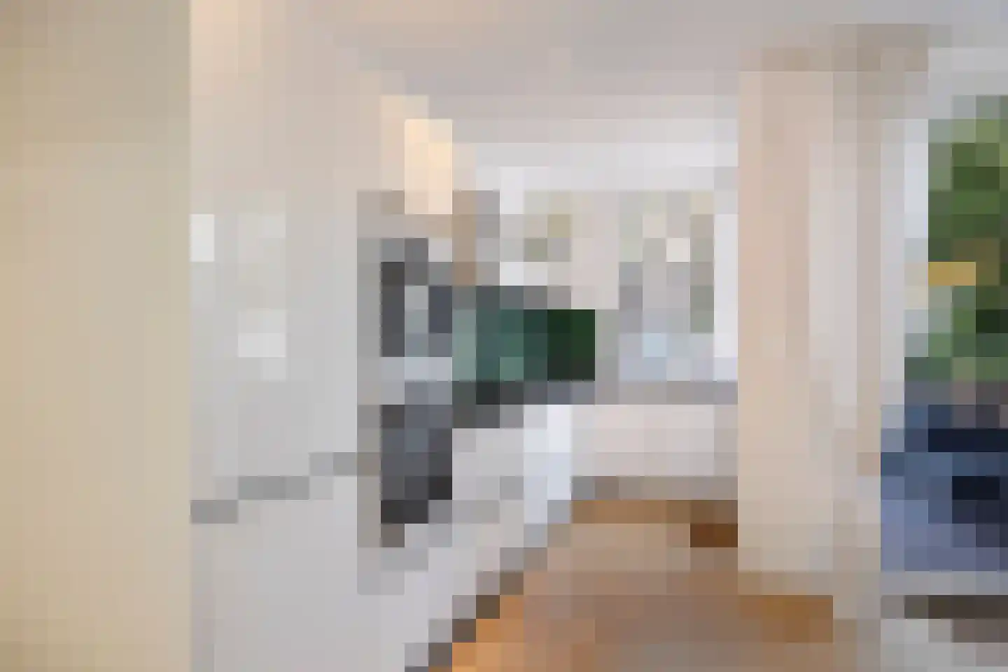 Newtonstraat 42 A Schiedam thumbnail 4