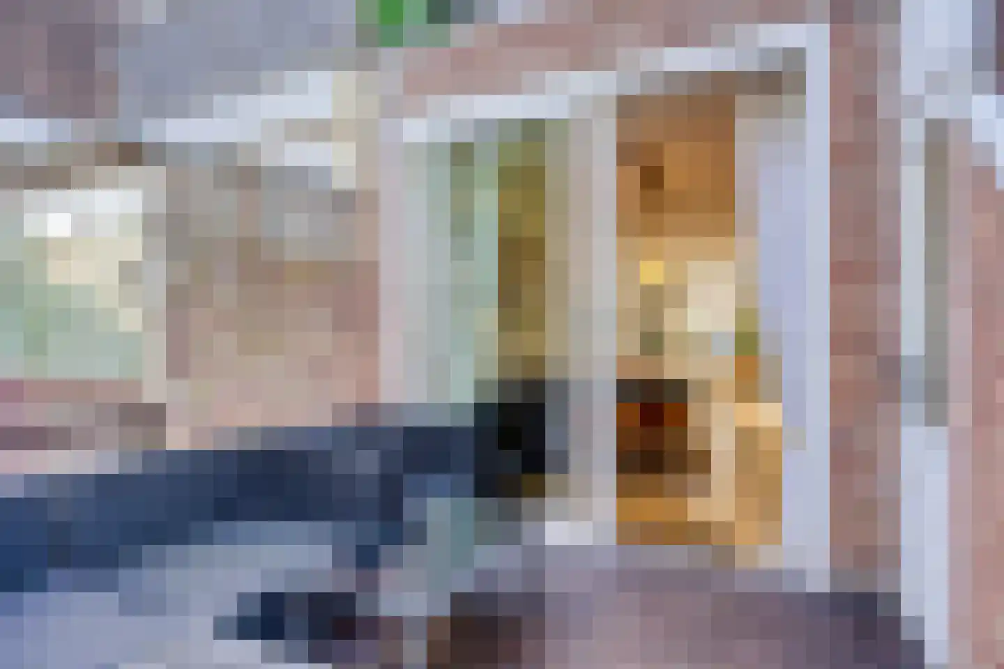 Newtonstraat 42 A Schiedam thumbnail 40