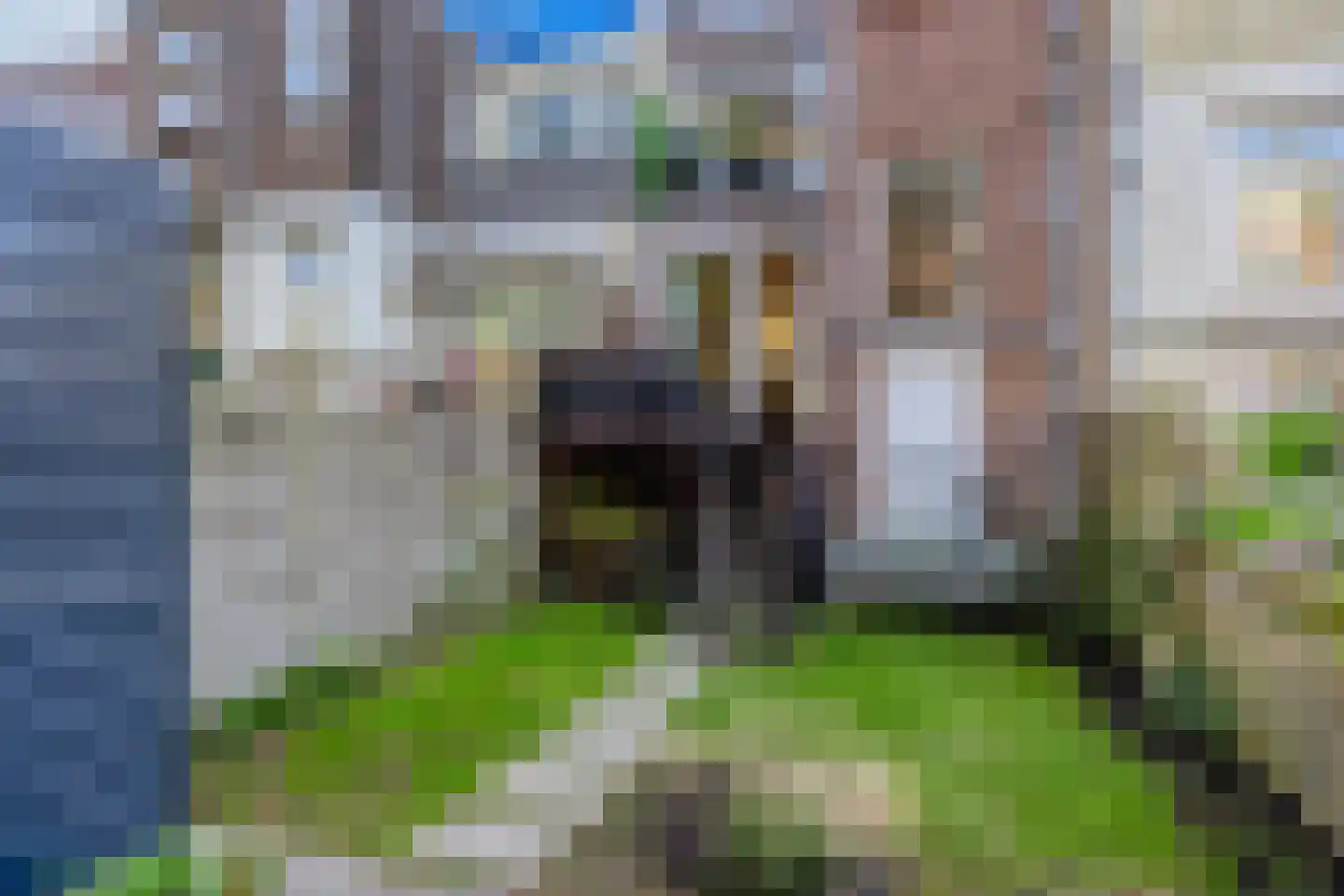 Newtonstraat 42 A Schiedam thumbnail 41
