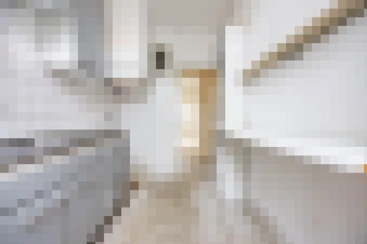 Newtonstraat 421 Den Haag thumbnail 12