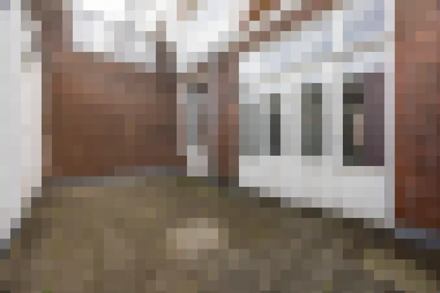 Newtonstraat 421 Den Haag thumbnail 14