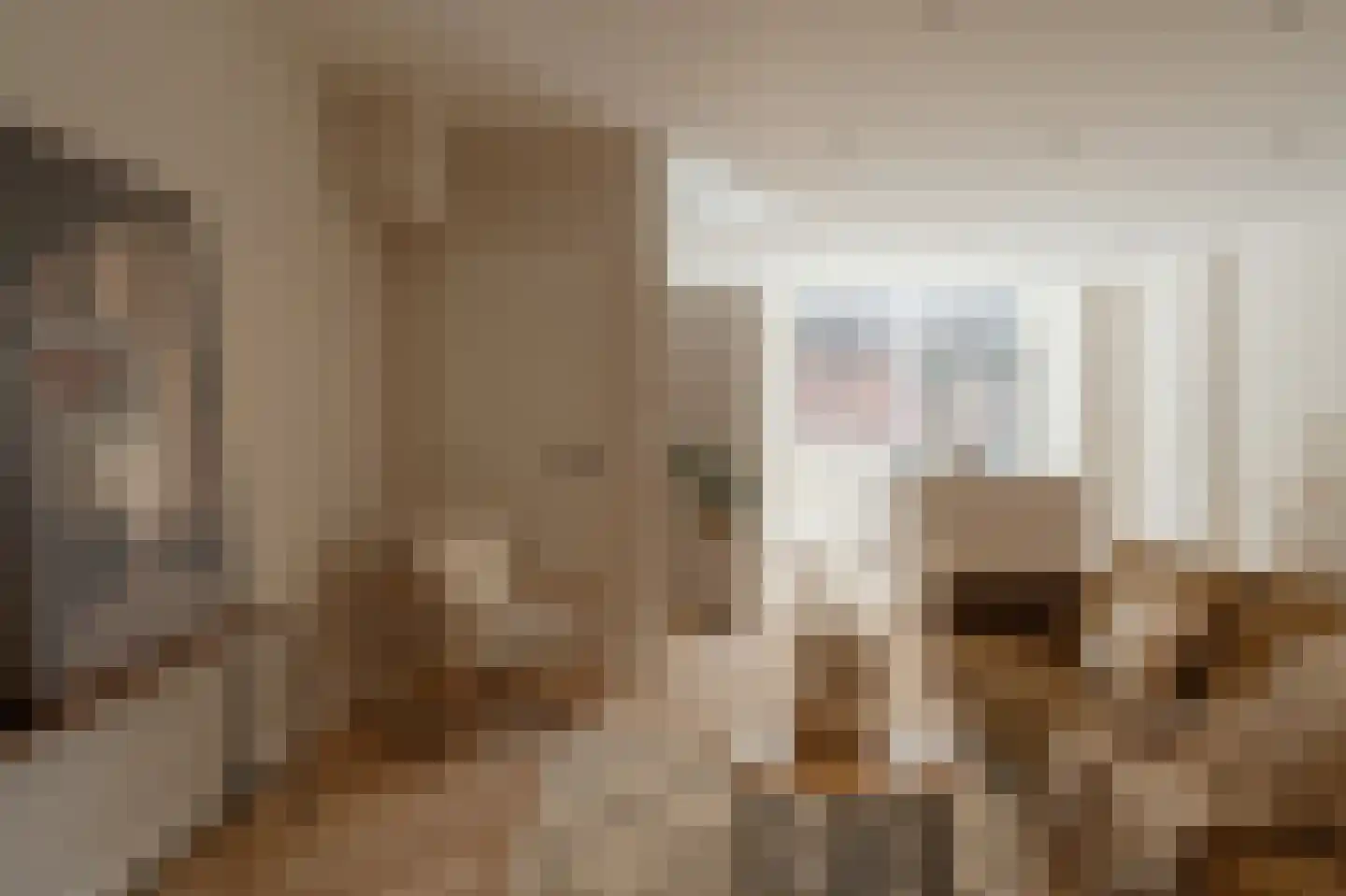 Newtonstraat 423 Den Haag thumbnail 17