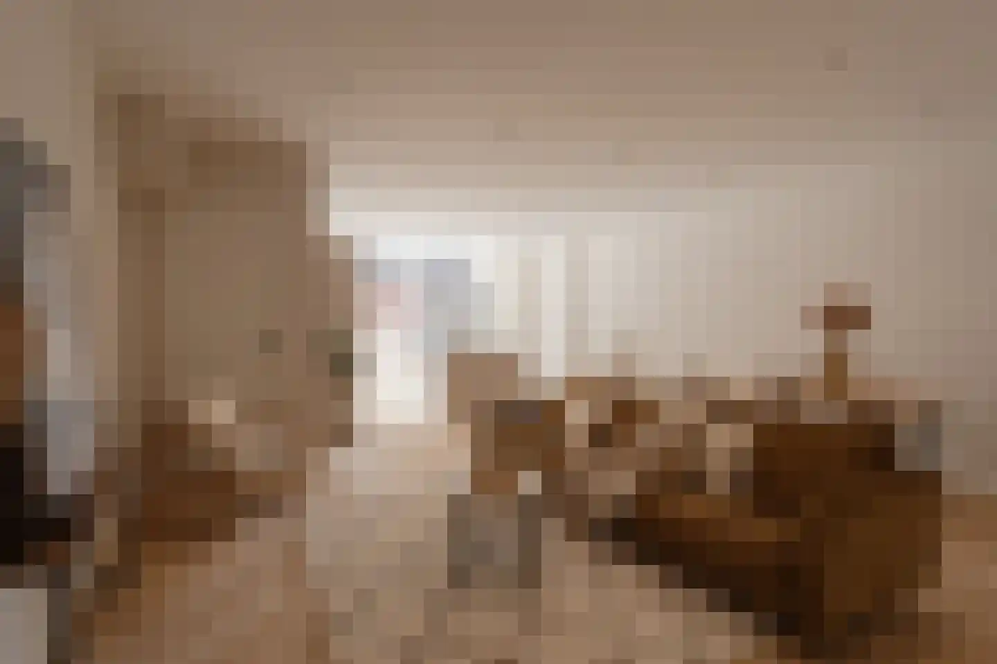 Newtonstraat 423 Den Haag thumbnail 23