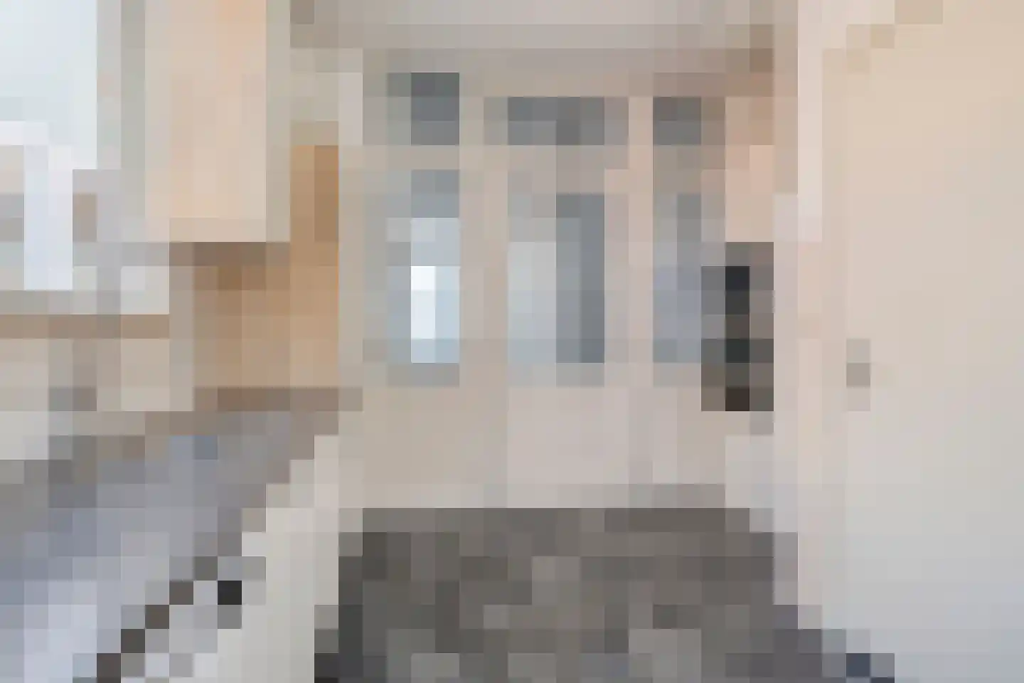 Newtonstraat 431 Den Haag thumbnail 10