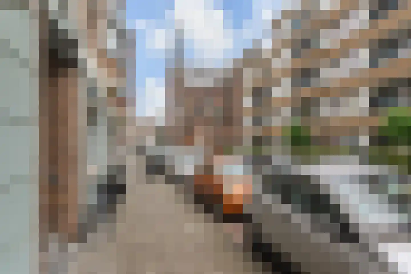 Newtonstraat 461 Den Haag thumbnail 24