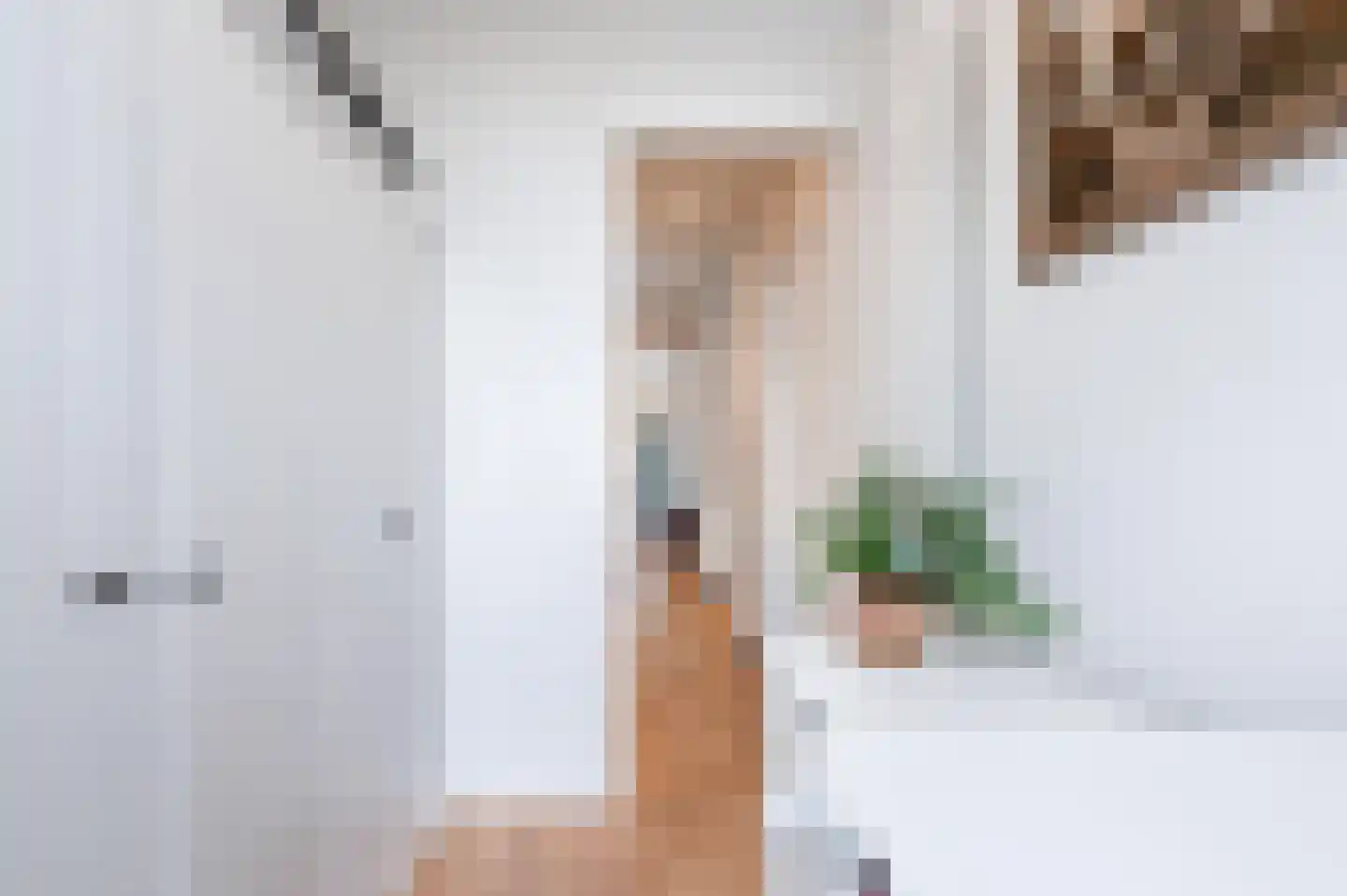 Newtonstraat 533 Den Haag thumbnail 52