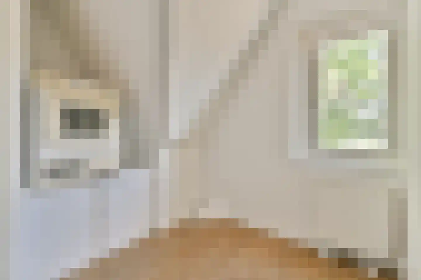 Newtonstraat 66 Amsterdam thumbnail 22