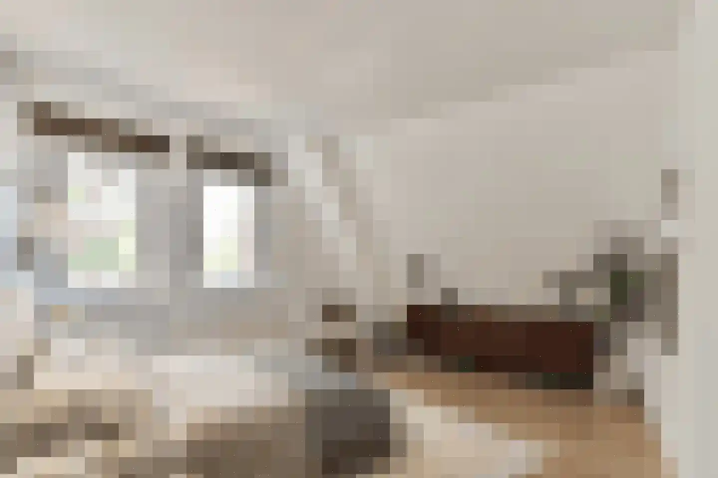 Newtonstraat 66 Amsterdam thumbnail 4