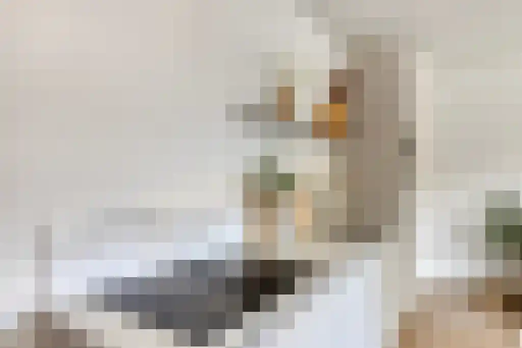 Newtonstraat 69 Amsterdam thumbnail 4