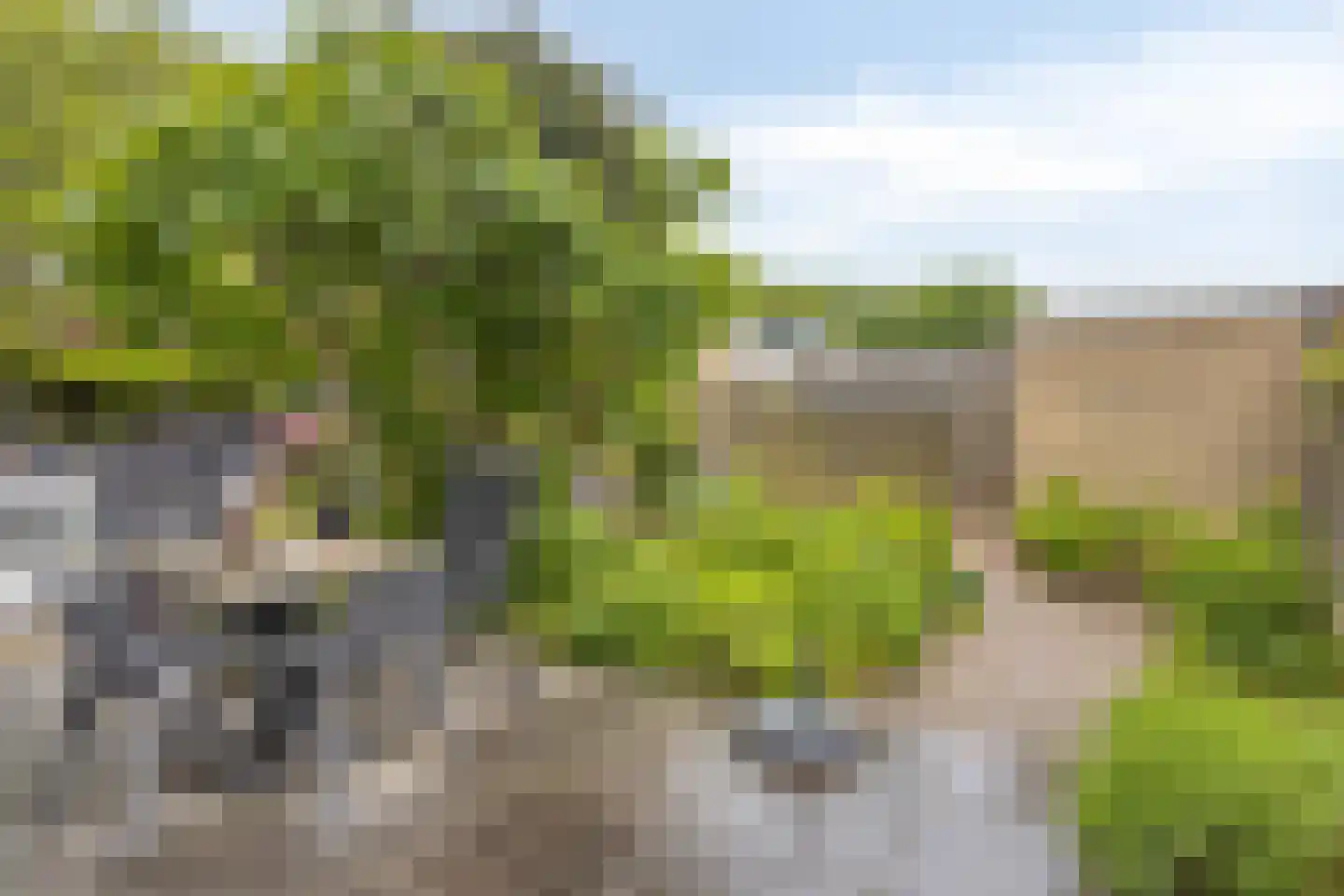 Newtonstraat 7 Terneuzen thumbnail 23