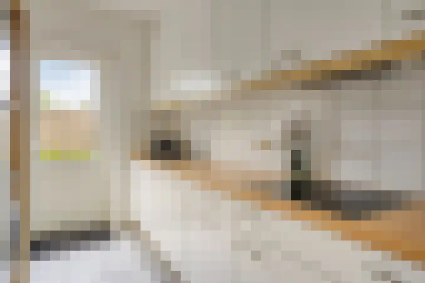 Newtonstraat 7 Terneuzen thumbnail 8