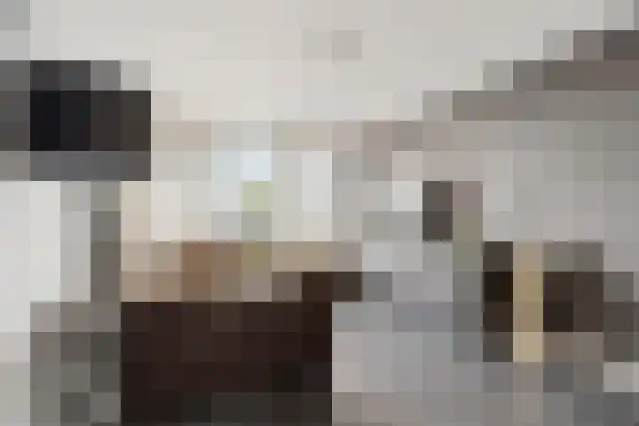 Newtonstraat 71 Nijmegen thumbnail 13