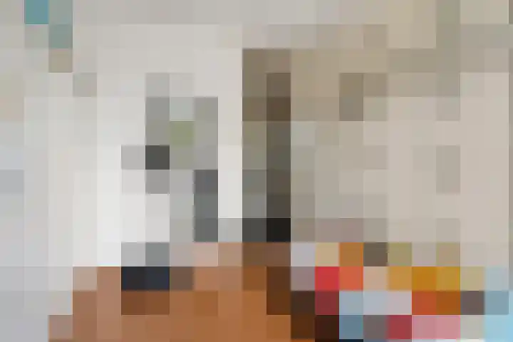 Newtonstraat 71 Nijmegen thumbnail 33