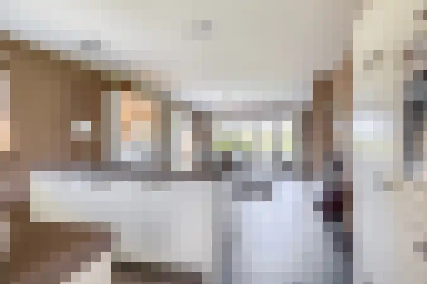 Newtonstraat 8 Schoonhoven thumbnail 13
