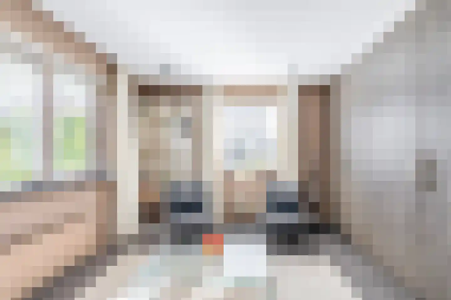 Newtonstraat 8 Schoonhoven thumbnail 17