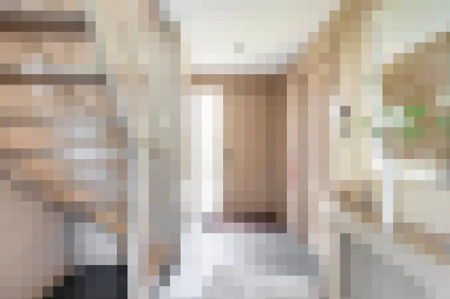 Newtonstraat 8 Schoonhoven thumbnail 7