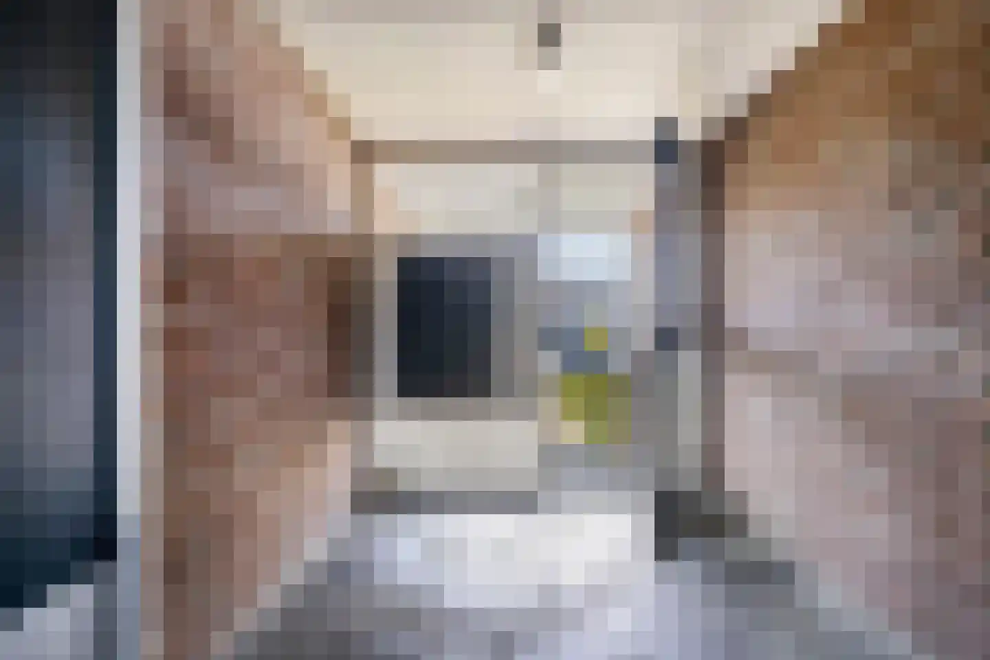 Newtonstraat 91 Nijmegen thumbnail 45
