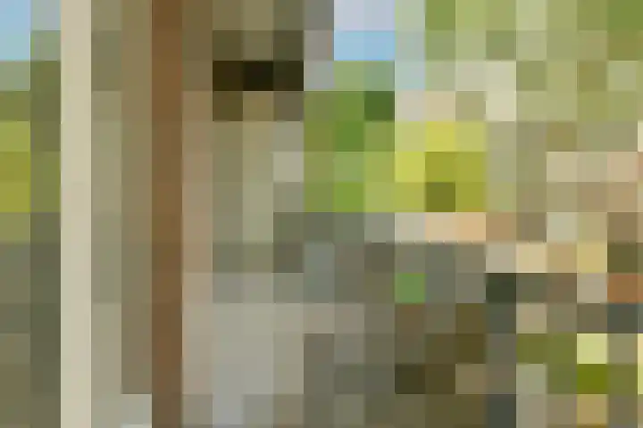 Newtonstraat 95 1 Amsterdam thumbnail 12