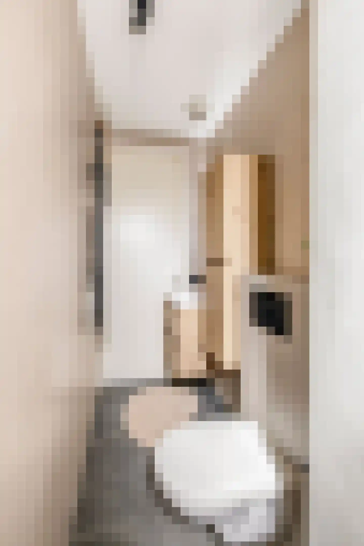 Niasstraat 12 D Amsterdam thumbnail 17