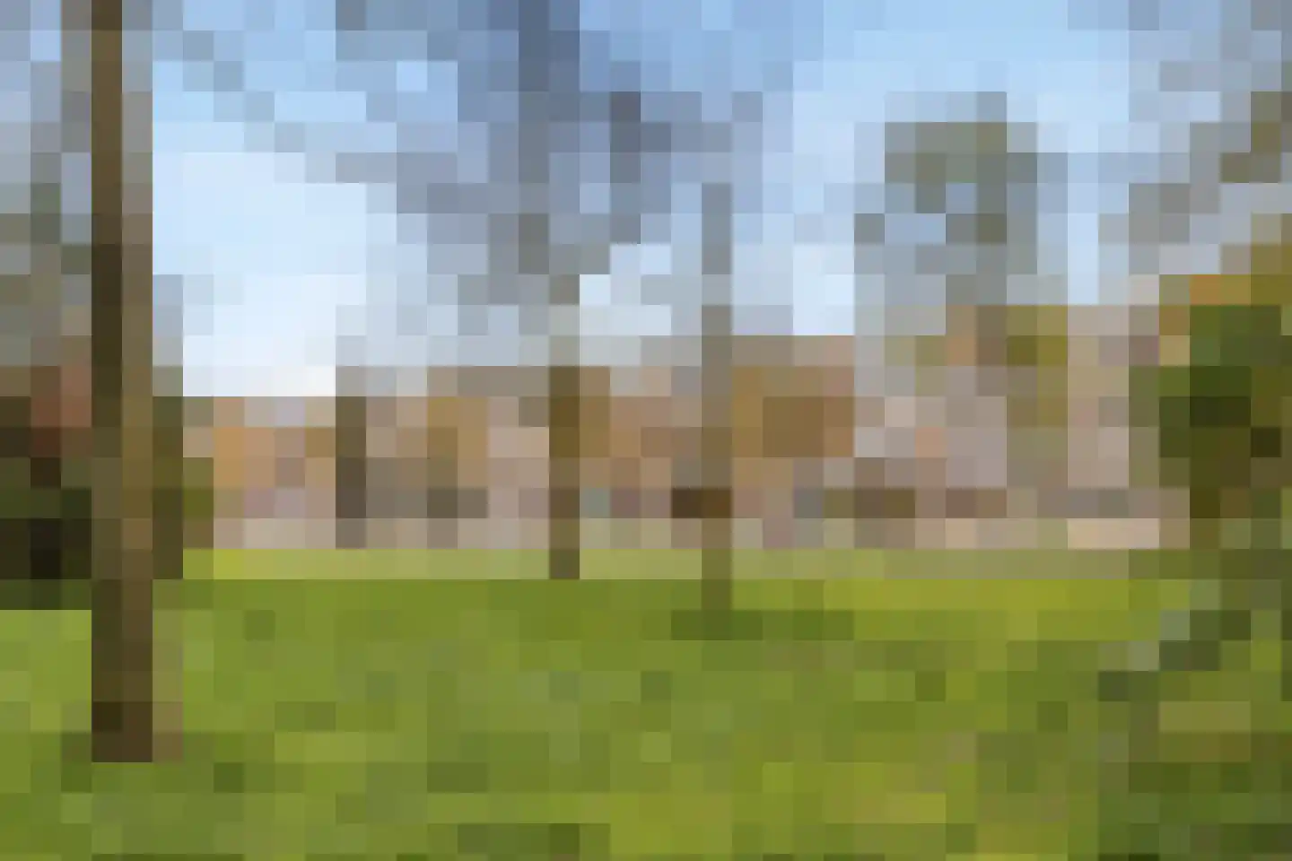 Niasstraat 12 D Amsterdam thumbnail 22