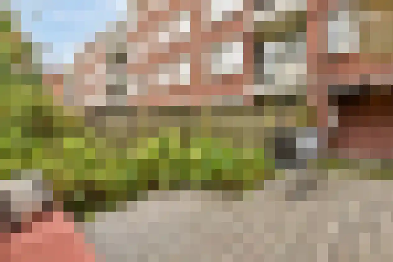 Niasstraat 171 Amsterdam thumbnail 19