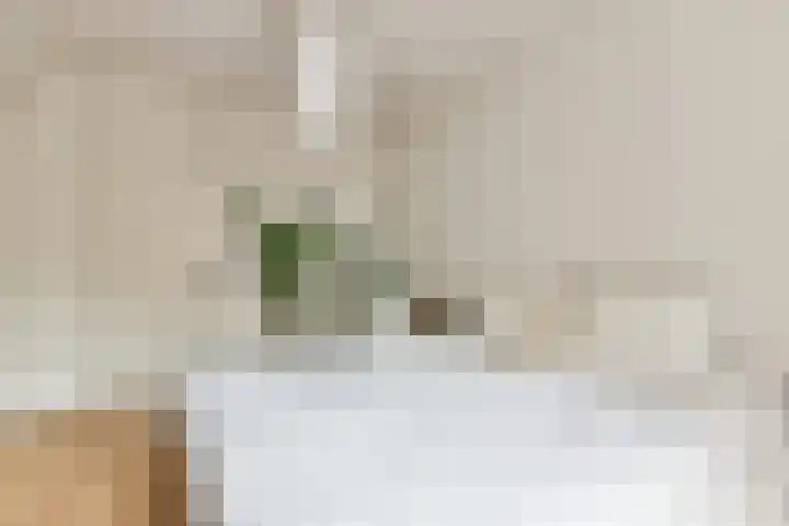 Niasstraat 277 Amsterdam thumbnail 10