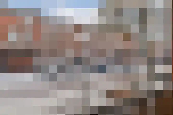 Niasstraat 277 Amsterdam thumbnail 19