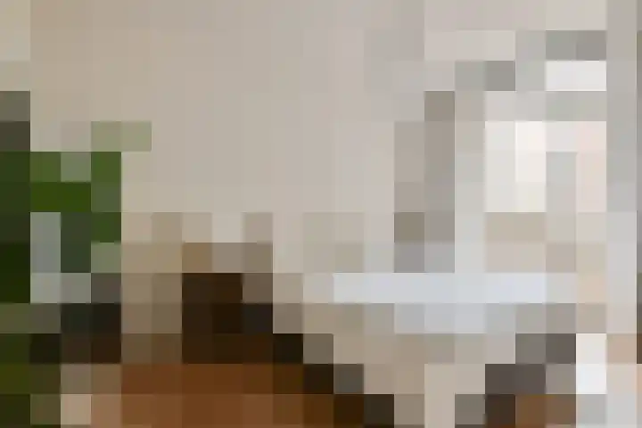 Niasstraat 277 Amsterdam thumbnail 9