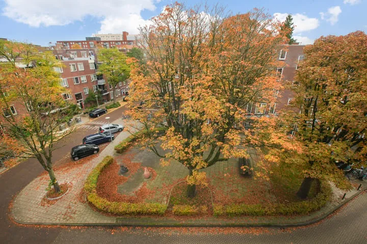 Niasstraat 36 A Amsterdam thumbnail 19