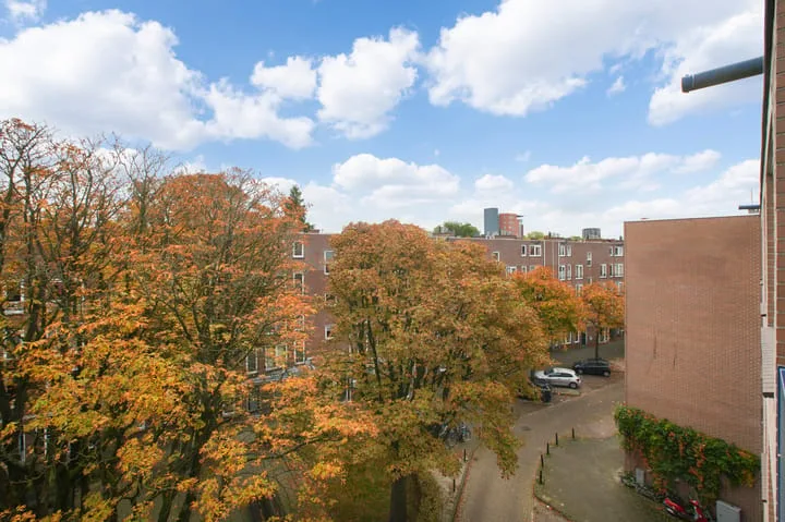 Niasstraat 36 A Amsterdam thumbnail 20