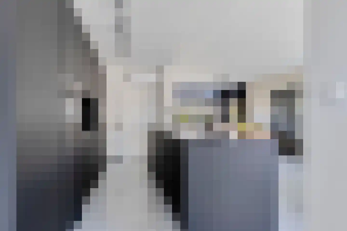 Nibbelinkstraat 17 Hendrik-Ido-Ambacht thumbnail 13