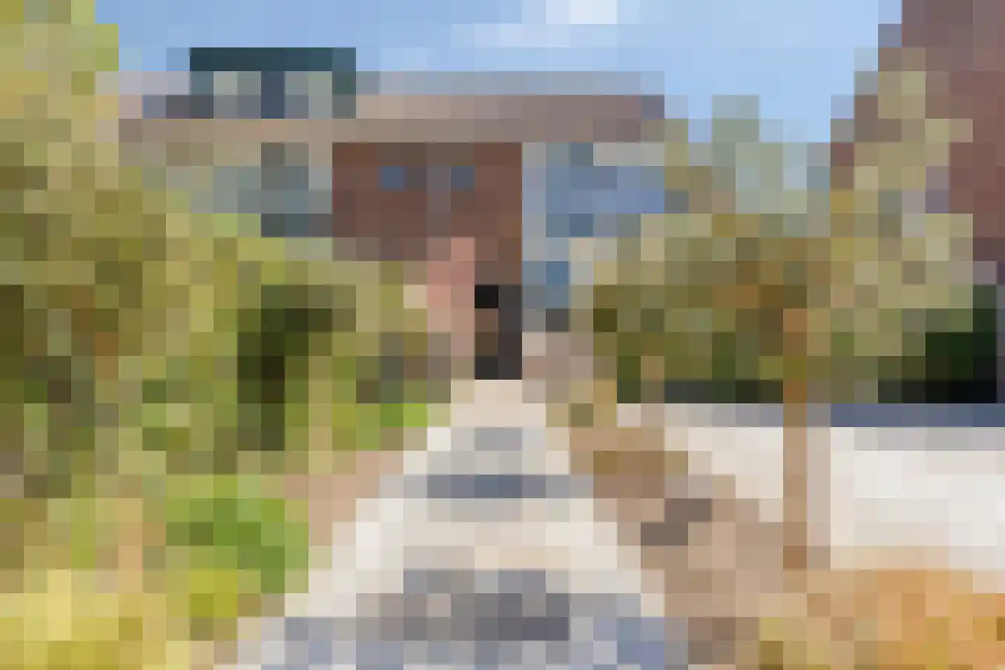 Nibbelinkstraat 17 Hendrik-Ido-Ambacht thumbnail 5