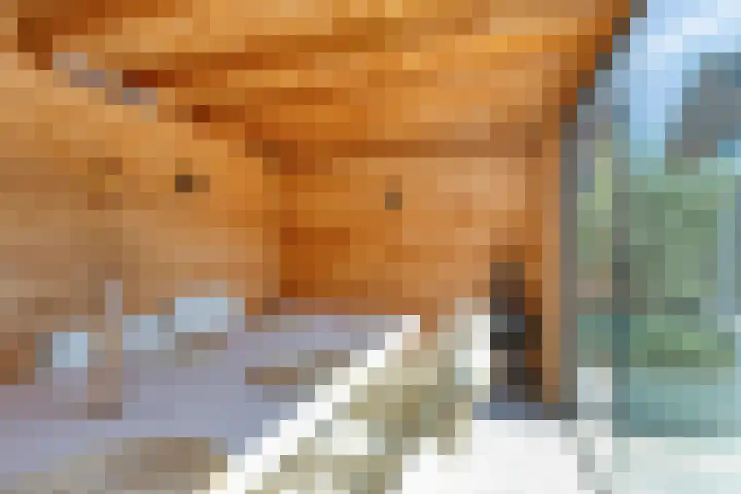Nibbelinkstraat 17 Hendrik-Ido-Ambacht thumbnail 57
