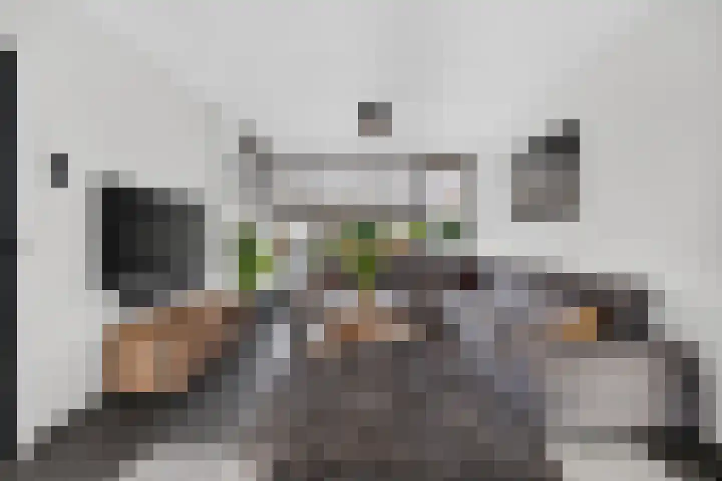 Nibbelinkstraat 25 Hendrik-Ido-Ambacht thumbnail 5
