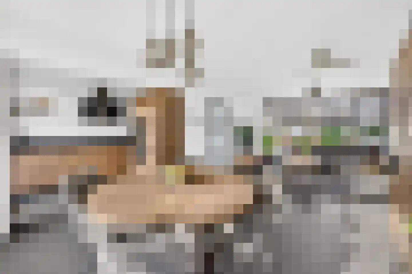 Nibbelinkstraat 25 Hendrik-Ido-Ambacht thumbnail 8