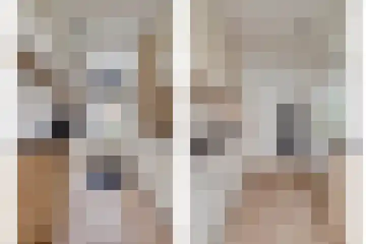 Nibbelinkstraat 3 Hendrik-Ido-Ambacht thumbnail 12