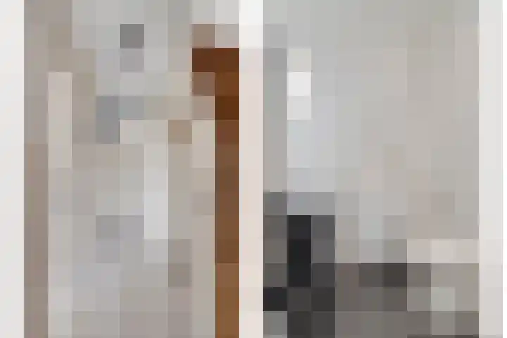 Nibbelinkstraat 3 Hendrik-Ido-Ambacht thumbnail 13