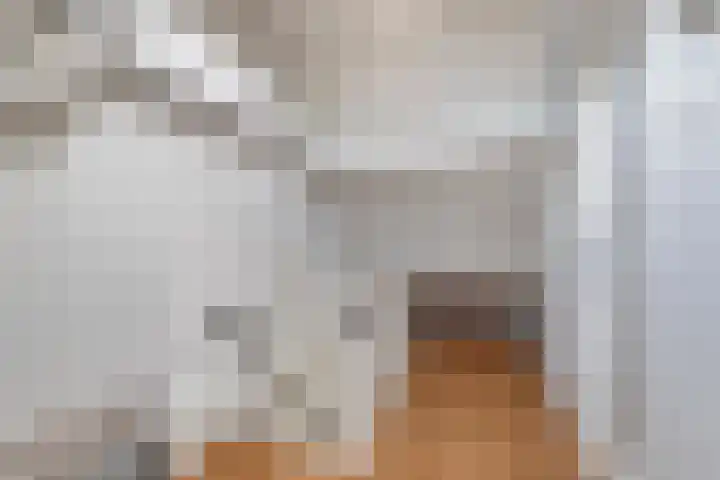 Nibbelinkstraat 3 Hendrik-Ido-Ambacht thumbnail 22