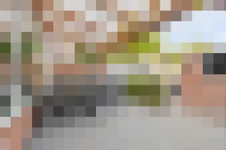Nibbelinkstraat 3 Hendrik-Ido-Ambacht thumbnail 28