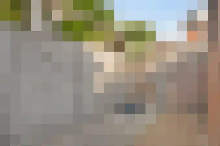Nibbelinkstraat 3 Hendrik-Ido-Ambacht thumbnail 30