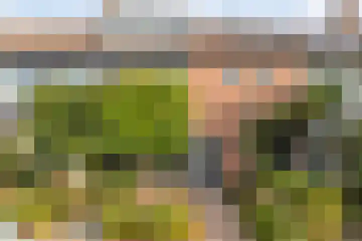 Nibbelinkstraat 3 Hendrik-Ido-Ambacht thumbnail 31